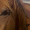 Kat Kostner's profile photo