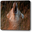 Coyote Too's profile photo
