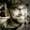 Adam Stephens's profile photo